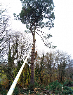 Espace sécurisé pour la hutte et le tipi
