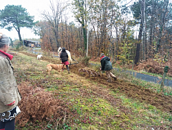 Traction animale avec Zapata - Automne 2023