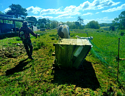 Déplacement du poulailler en traction animale