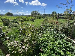 Jardin nourrissier - 2015