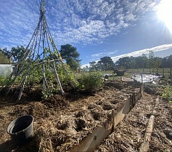 Création de buttes à plantes aromatiques et médicinales
